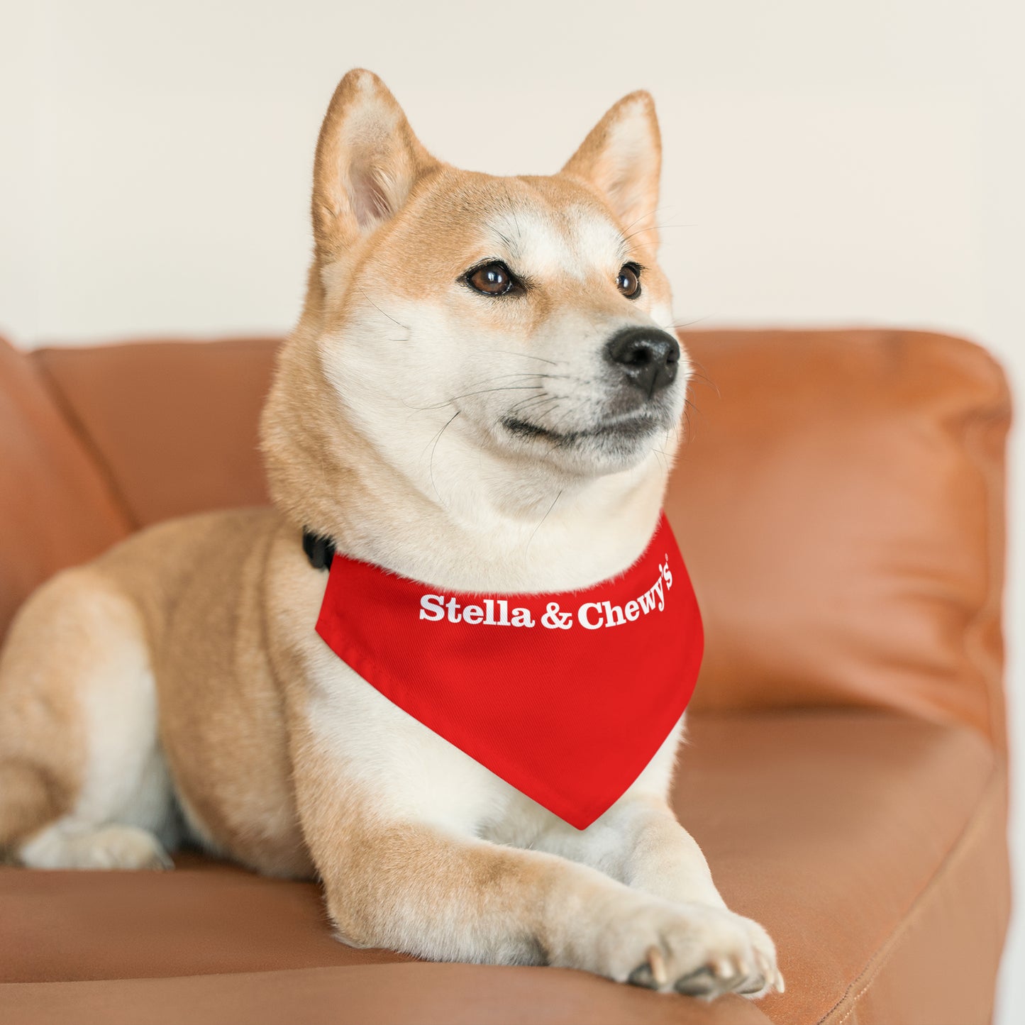 Collier bandana pour animaux de compagnie - Stella et Chewy's