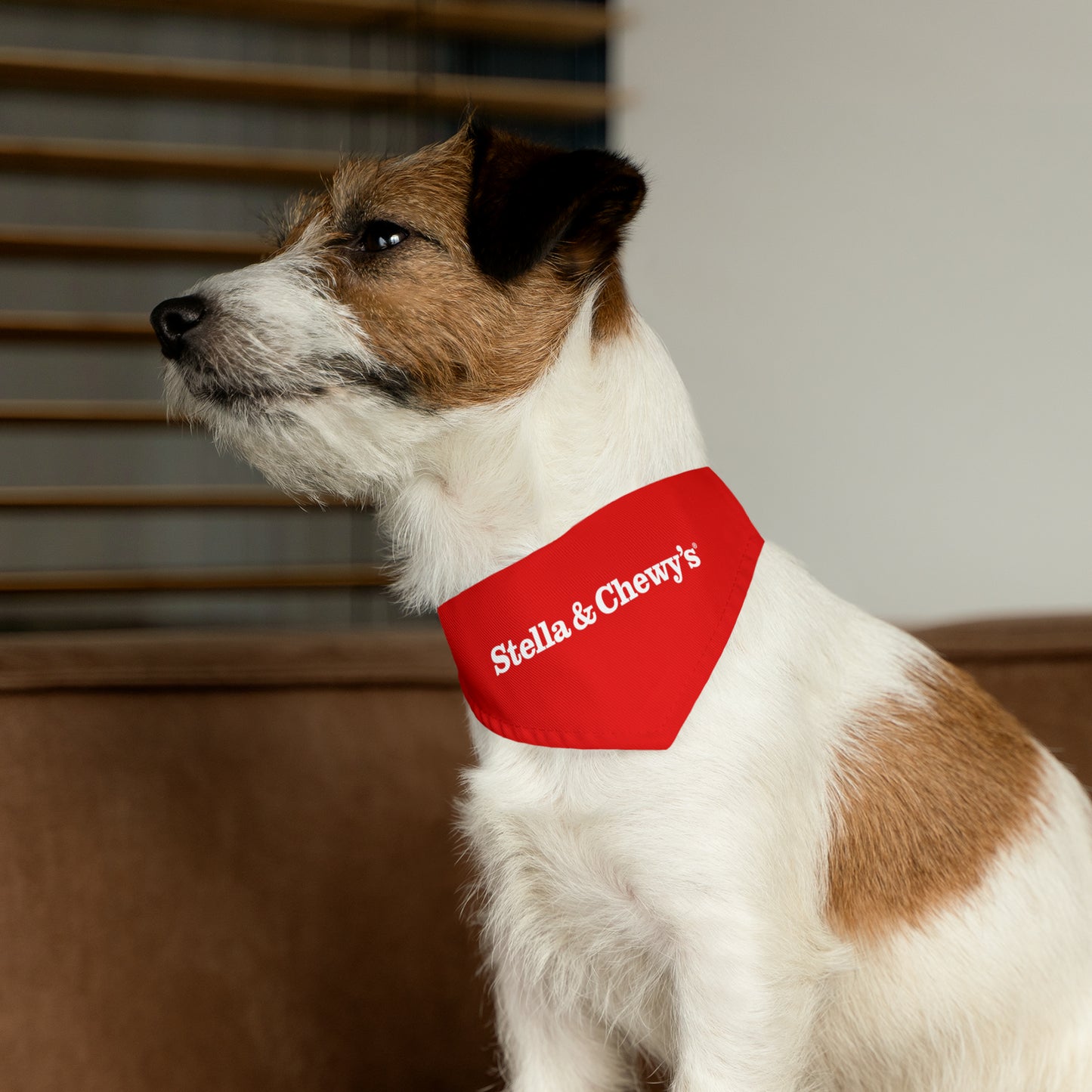 Collier bandana pour animaux de compagnie - Stella et Chewy's