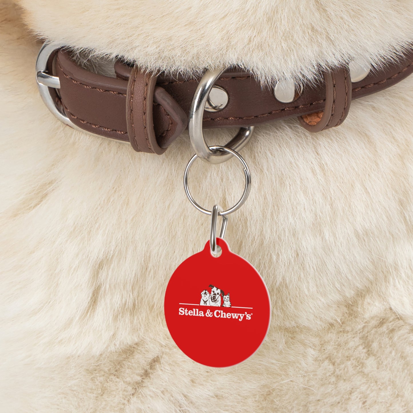 Pet Tag - Stella & Chewy's