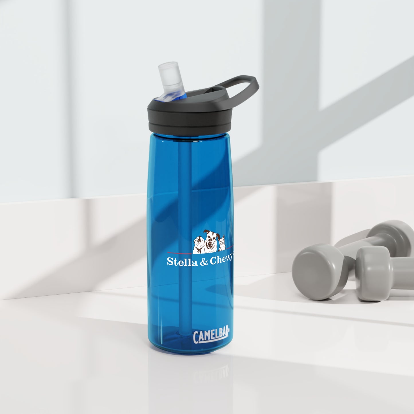 Bouteille d'eau CamelBak Eddy®, 25 oz - Stella et Chewy's