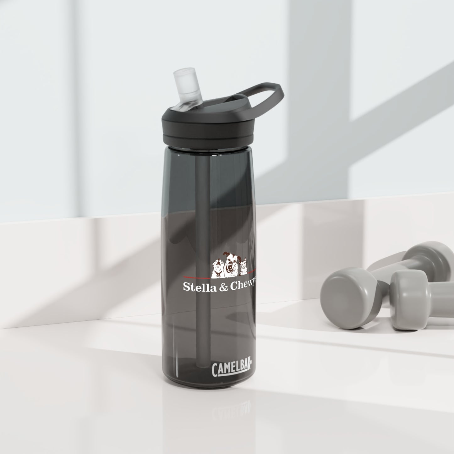 Bouteille d'eau CamelBak Eddy®, 25 oz - Stella et Chewy's